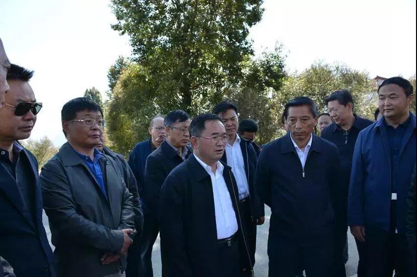 玉龙县与嘉乐最新动态，消息更新与时代地位探析